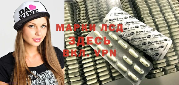 амф Верея