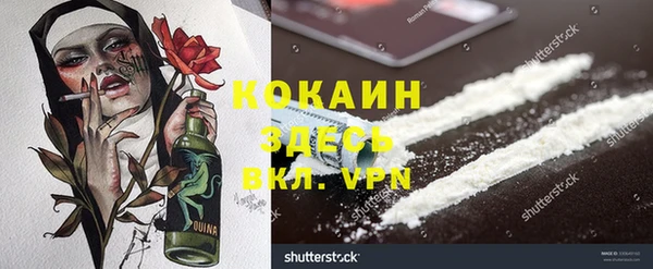 амф Верея