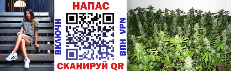 Купить закладки  Лобня  Канабис семена 
